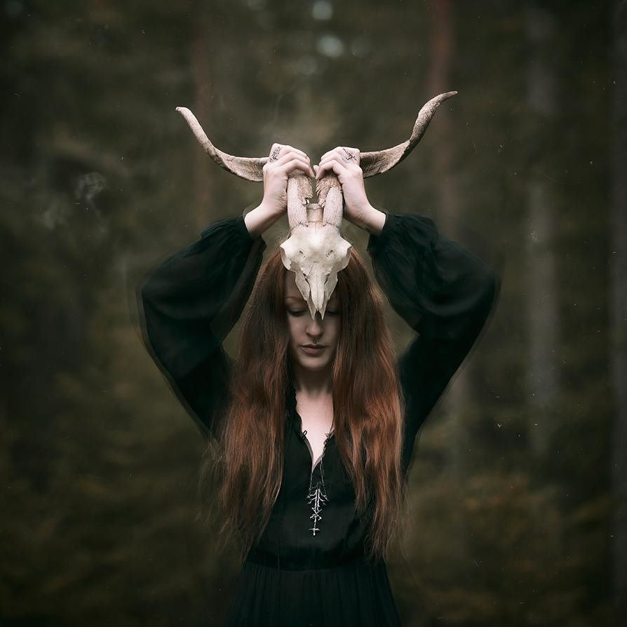 картинка из интернета 