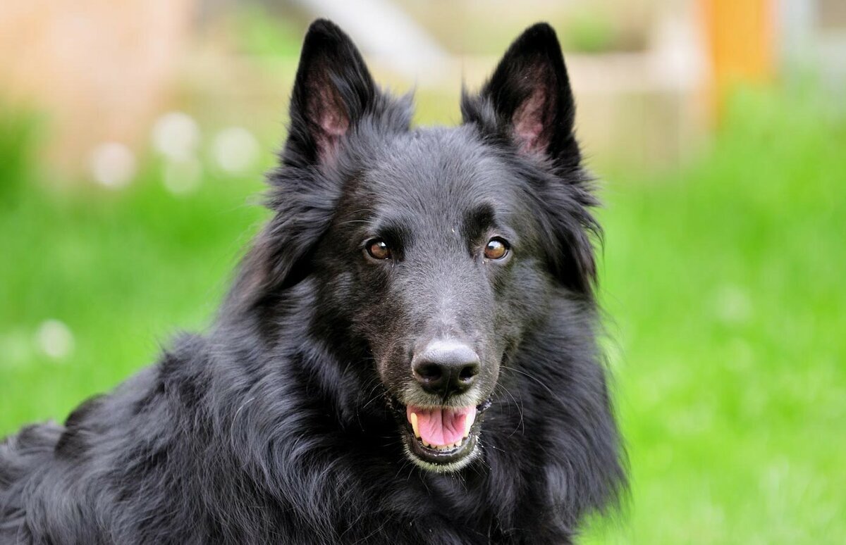 Грюнендаль