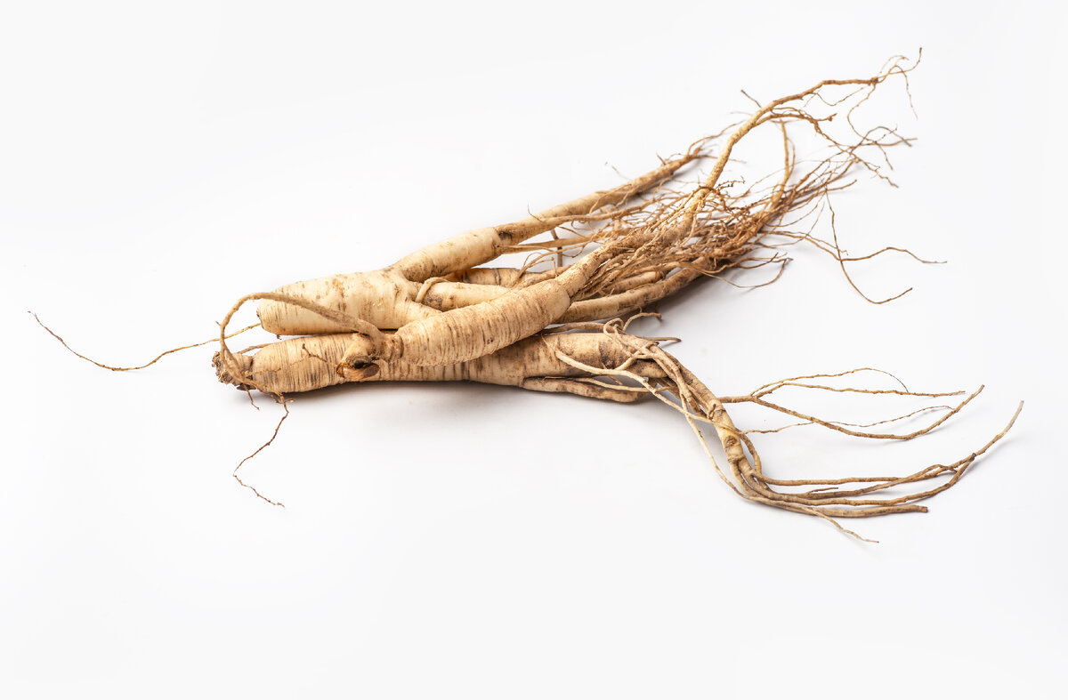 Корень женьшеня