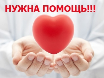 Изображение взято со страницы С.А. Пчелинцева
