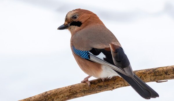 фото: mos.ru/eco