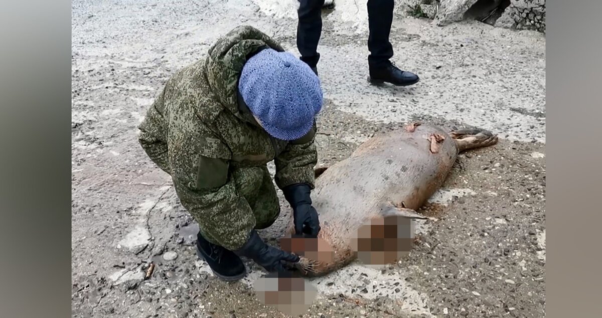 Фото: Северо-Кавказское ТУ Росрыболовства 