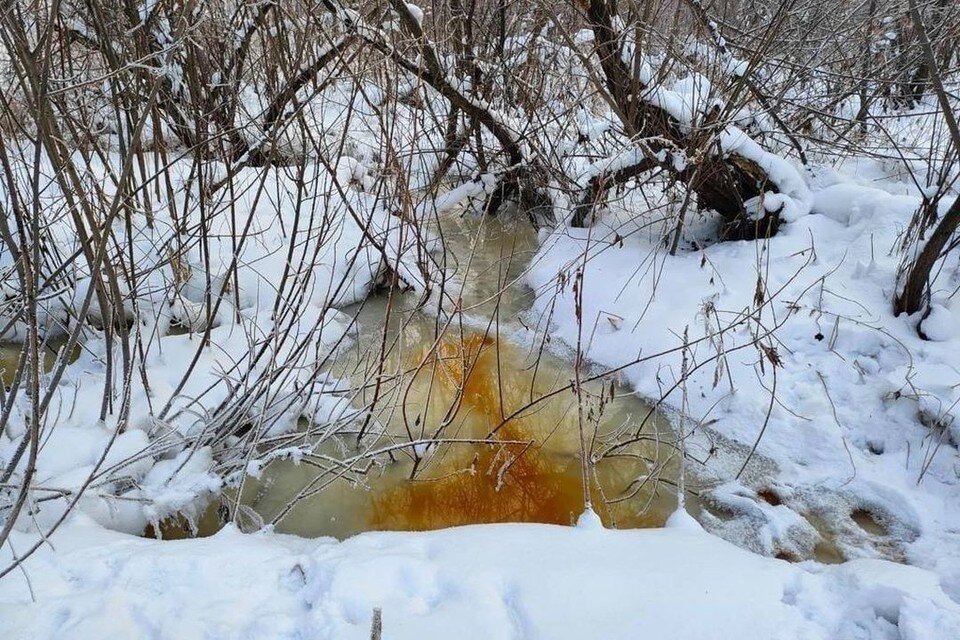     Пациенты из больницы, сами того не зная, делали свои дела прямо в реку. Фото: Минприроды НСО.