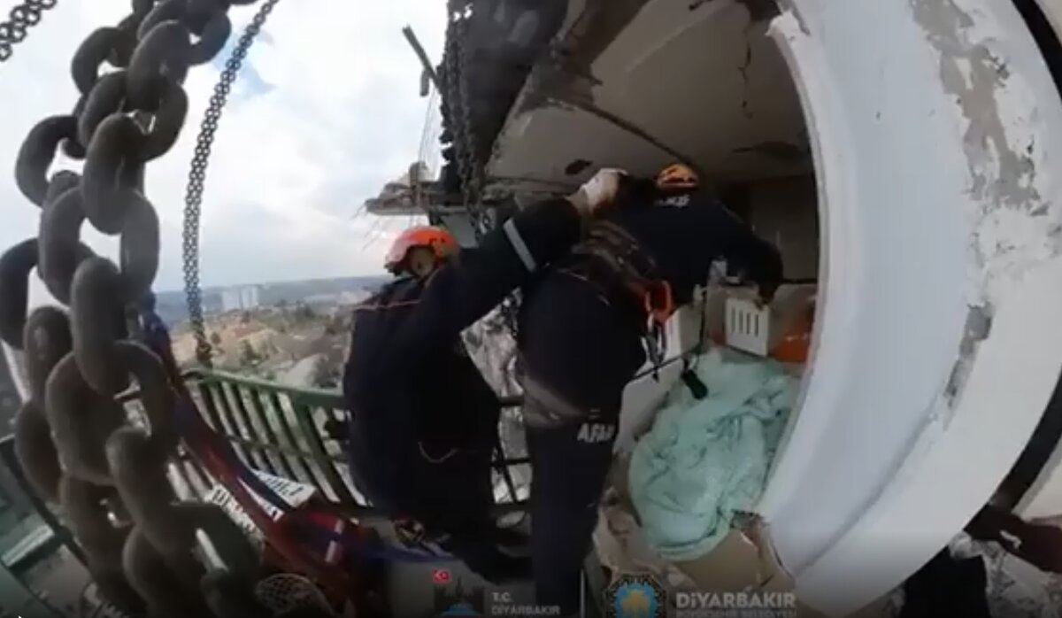 Как спасали котиков. Фото: телеграм-канал «Главные новости Турции» 