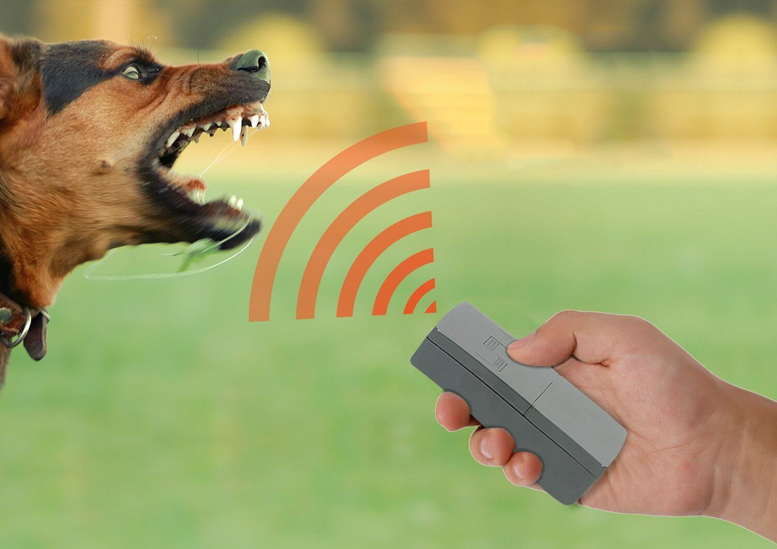 Включи звук отпугивающих. Отпугиватель собак Dazer II. Отпугиватель собак для собак wc002. 1020 Звуковой отпугиватель собак.