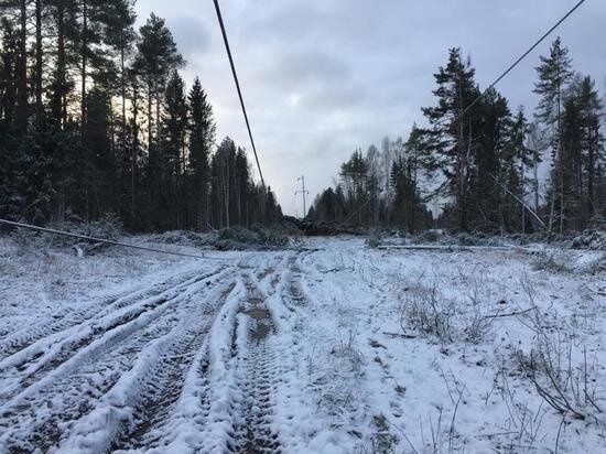     фото: россети