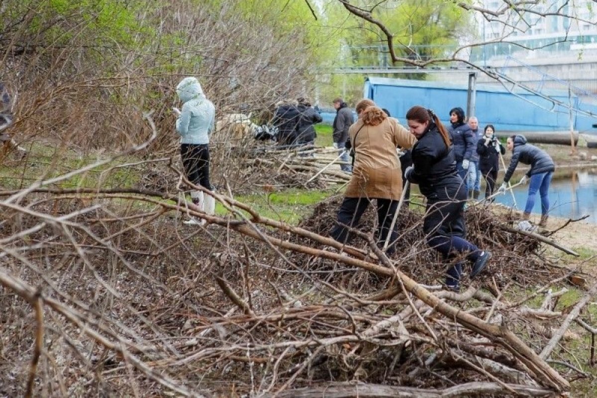    В марте в Краснодаре стартует «санитарный марафон»