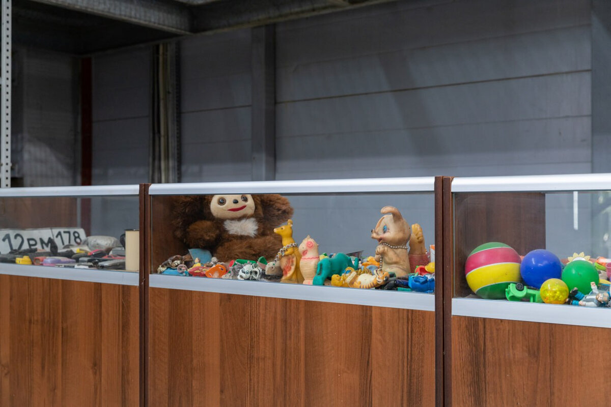 У марины на одной полке шкафа стоят игрушечные машинки на второй плюшевые звери