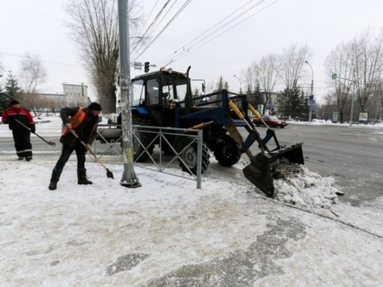     Фото: Густаво Зырянов / МК в Новосибирске