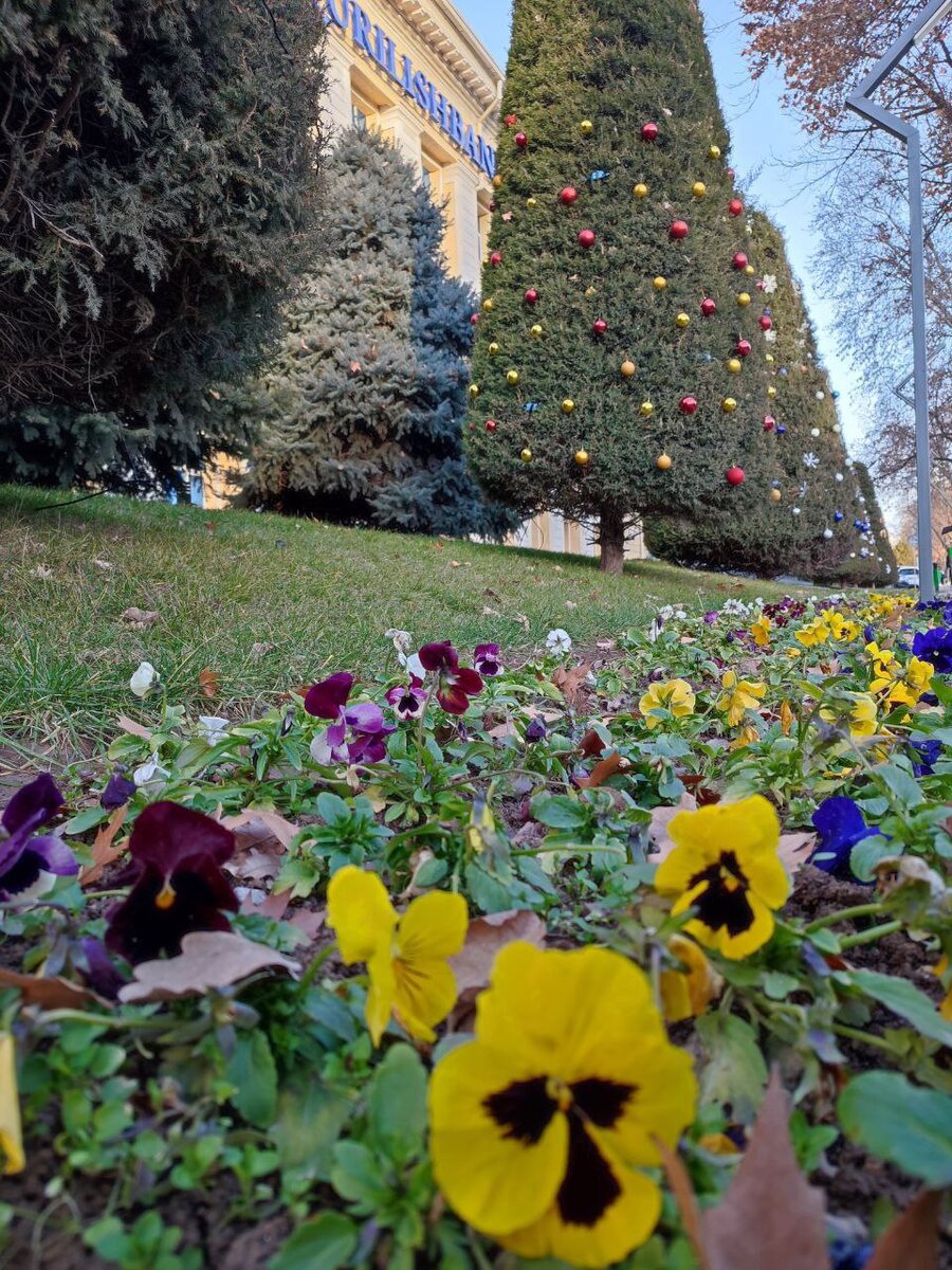 Январь 2023 год. Мое фото.