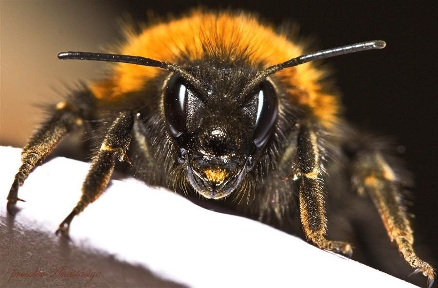 Фото из открытых источников.