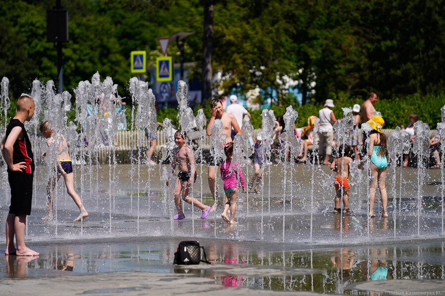 Фото: Виталий Невар / Новый Калининград