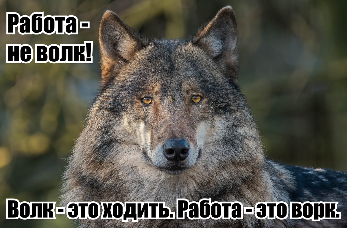 «Не могу год устроиться на работу. Не берут даже кассиром. Что делать?» — Яндекс Кью