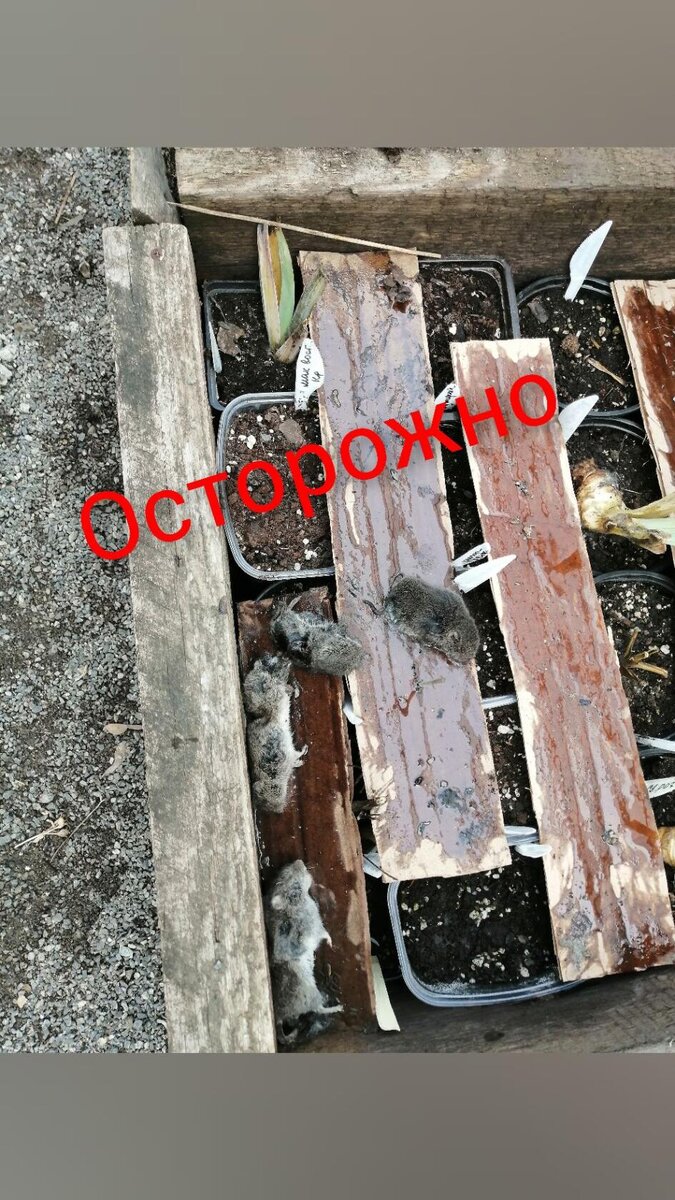 Вот так это примерно выглядело, и это еще не весь"  улов" 