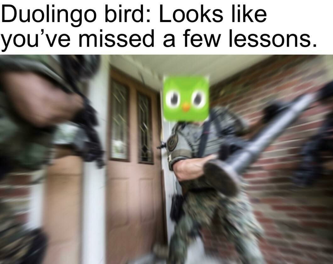 Птичка Дуолинго: Похоже, что ты пропустил несколько уроков. Если вы никогда не пользовались Duolingo, то знайте, что приложение присылает много напоминаний и уведомлений. Ощущение, что теперь зеленая сова полностью контролирует не только обучение, но и хочет, чтобы ты строил планы под приложение (: