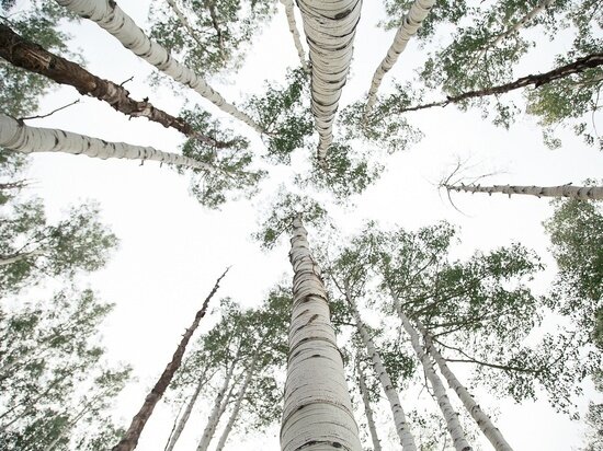     ФОТО: PXHERE.COM