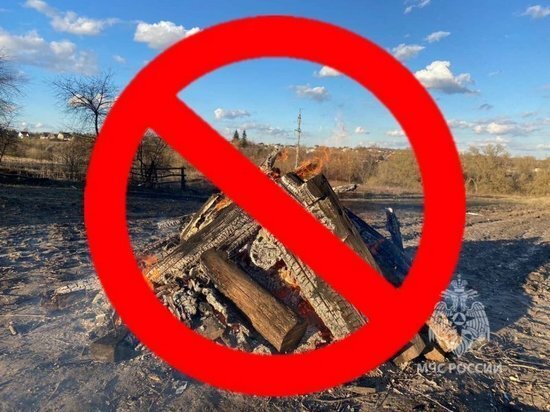     Фото: ГУ МЧС России по Курской области