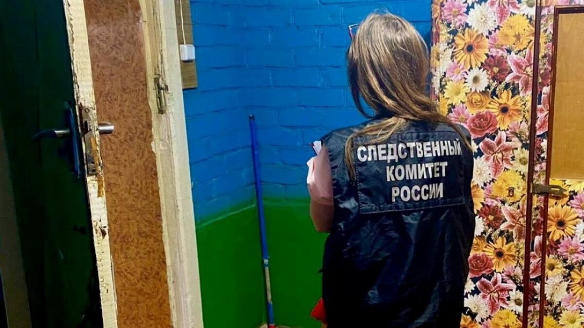    Женщина и ребенок лишились рассудка из-за избиения 27-летним мужчинойНовости Саратова и области – Сетевое издание «Репортер64»