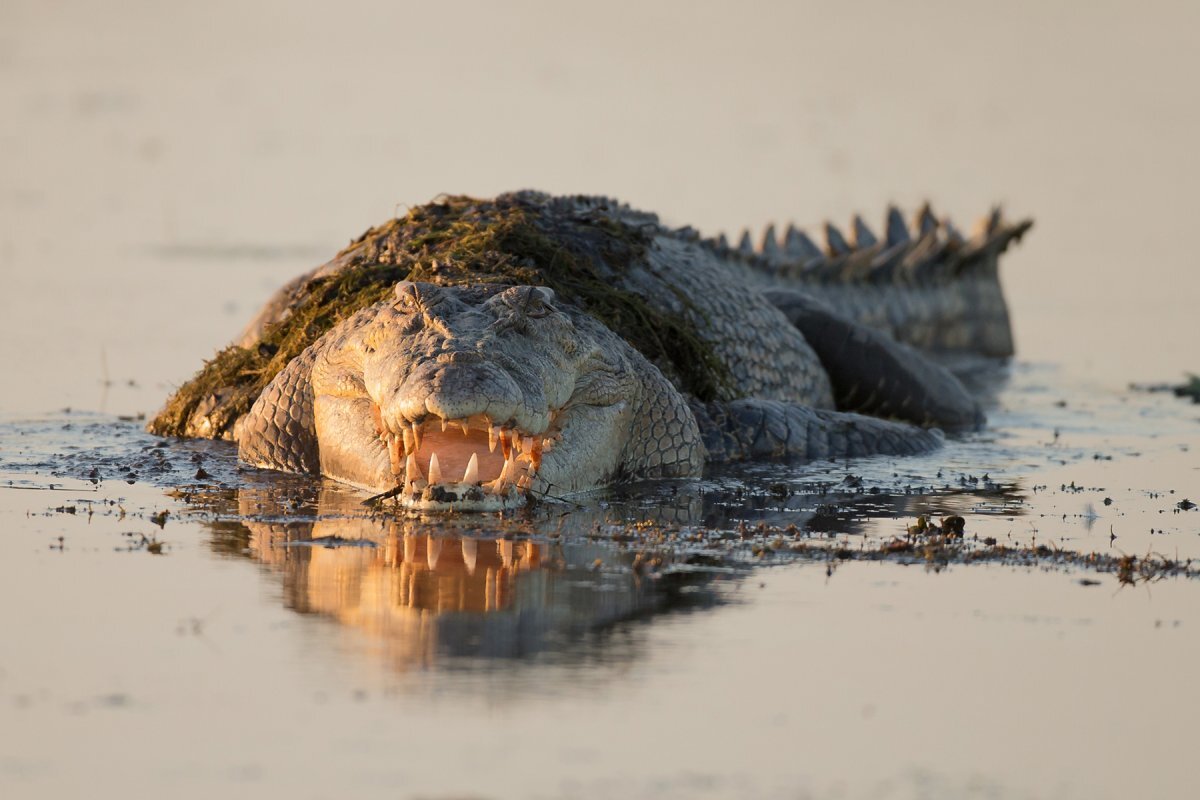 Источник: clck.ru/33yzWZ