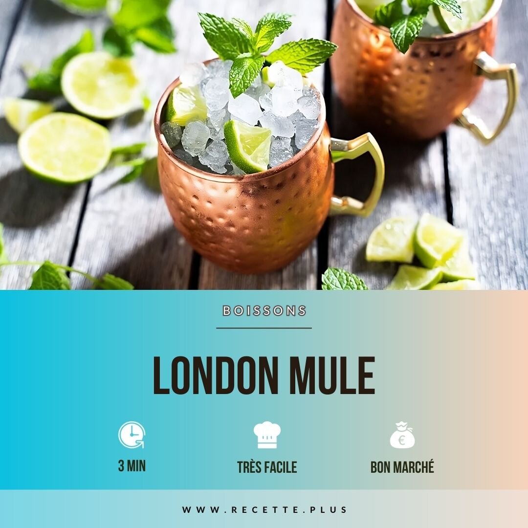 Recette London Mule 