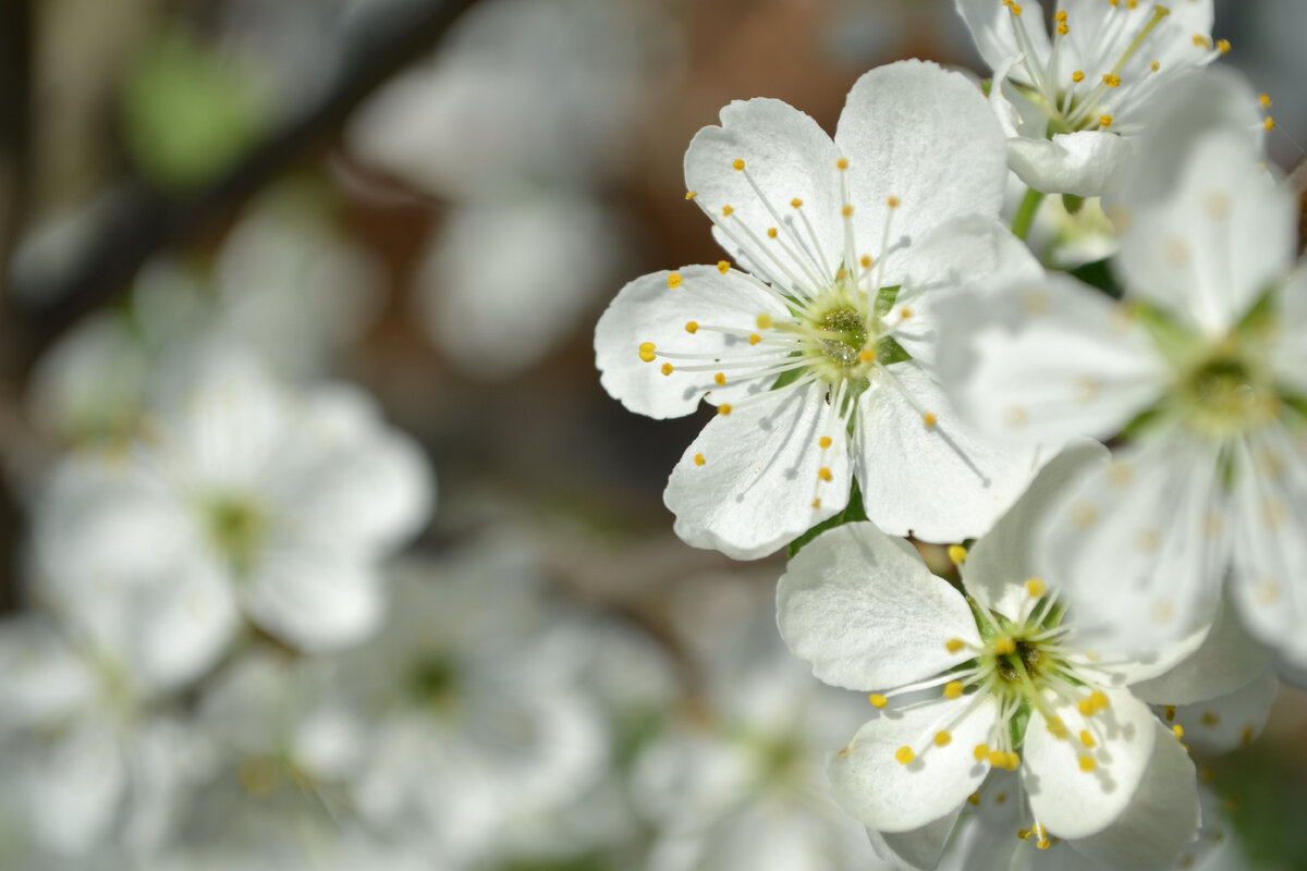 Весна на улице)