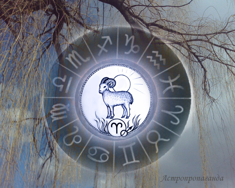 Коллаж Нины Стрелковой. 