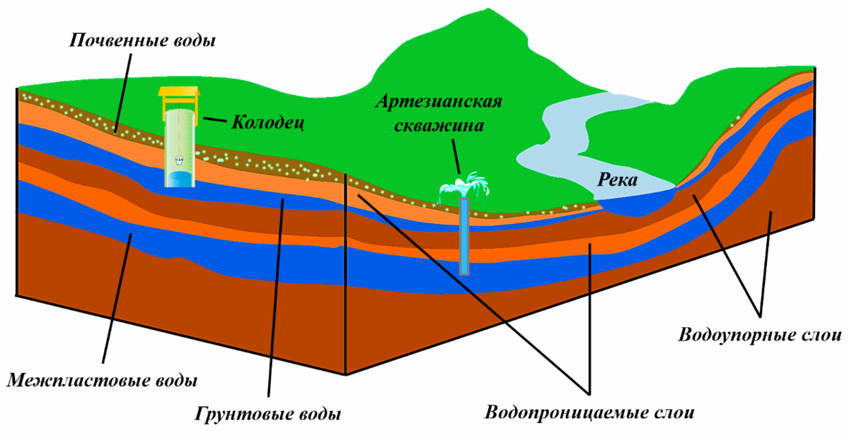 Когда необходимо осушение участка?