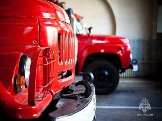     Фото: 67.mchs.gov.ru