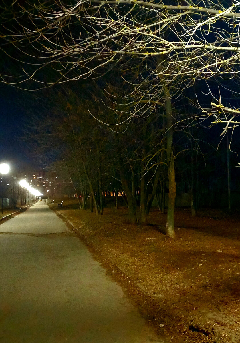 Фото автора.