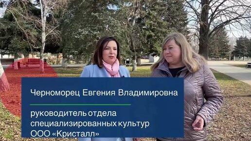 Виноград в сезоне 2021/Выращивание винограда/Сорта винограда и условия выращивания винограда