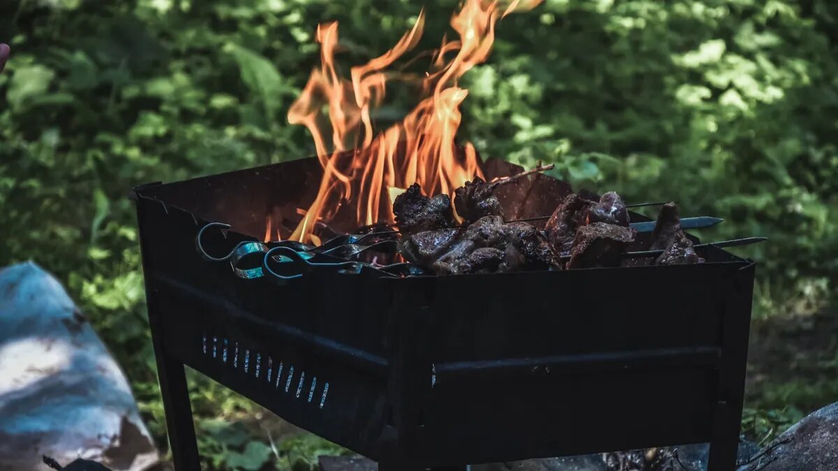 Без мангала выйдет себе дороже. Фото: unsplash.com