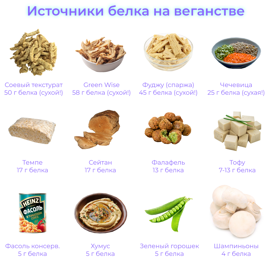 Источник белковых продуктов. Продукты для вегетарианцев с высоким содержанием белка таблица. Растительные источники белка список продуктов таблица. Содержание белка в растительных и животных продуктах таблица. Источник белок растительный таблица.