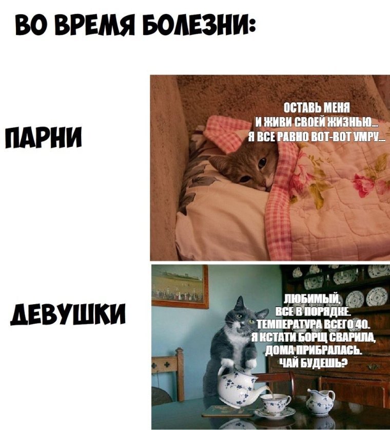 Свободный доступ
