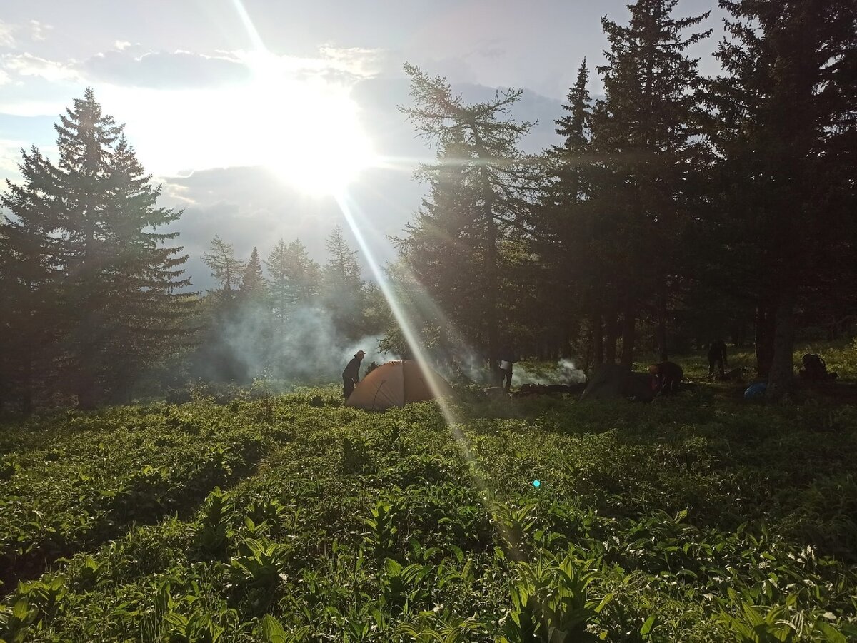 Уральский Барс с BashAdventure