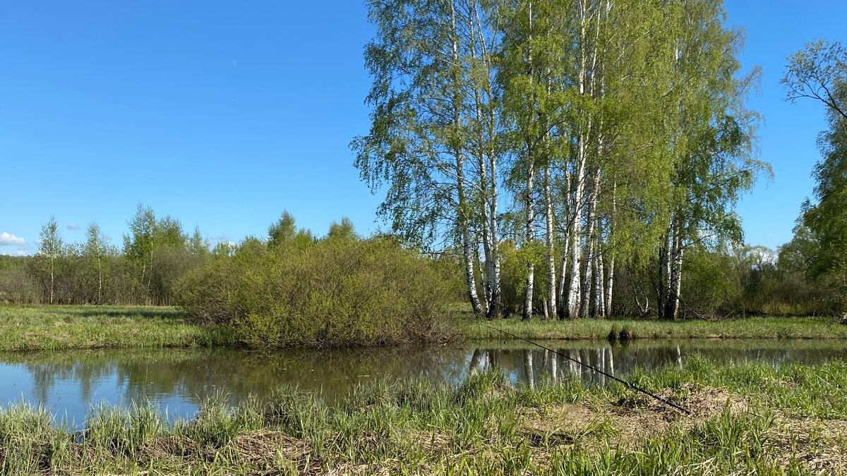 Фотографии автора.