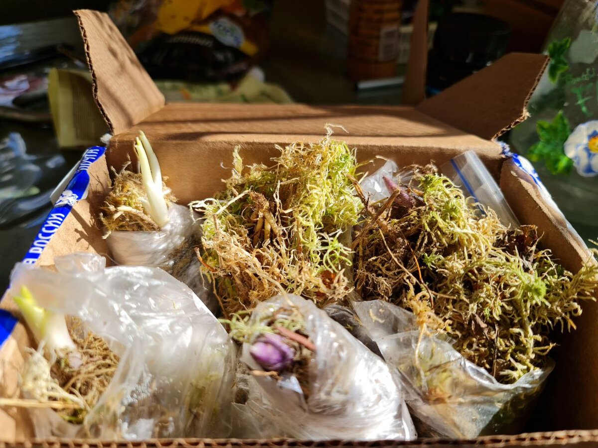 Посылка с хостами