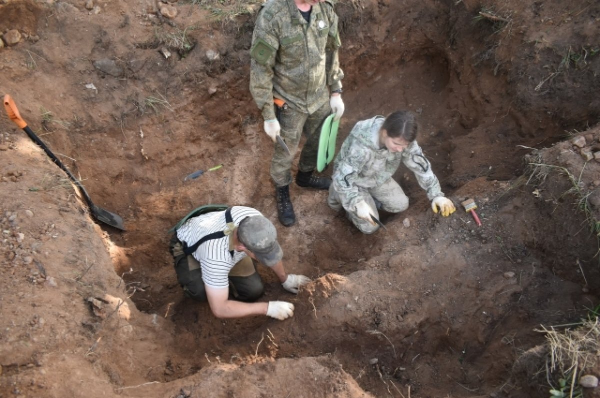    Поисковики поднимают останки самолета Ла-5 под Волгоградом