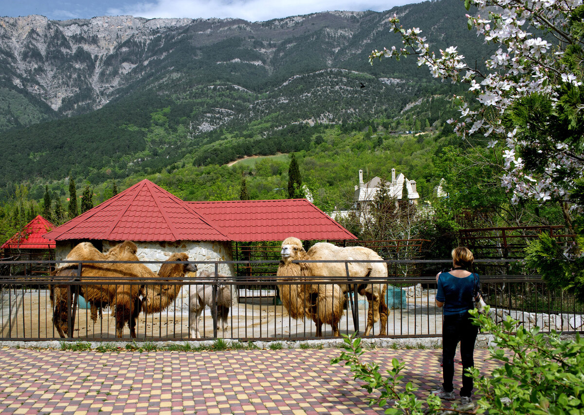 зоопарк в крыму сказка