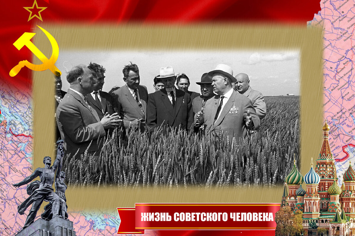 Первые урожаи поразили даже скептиков