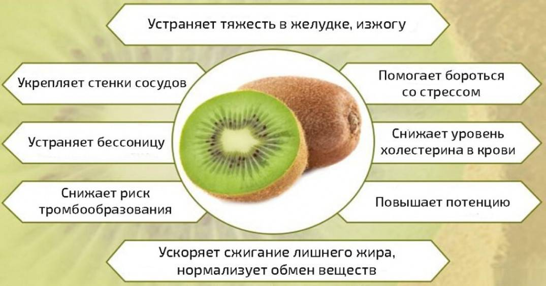 Киви состав. Киви полезна для организма. Киви чем полезен фрукт. Чем полезен киви для организма. Киви фрукт полезные свойства.