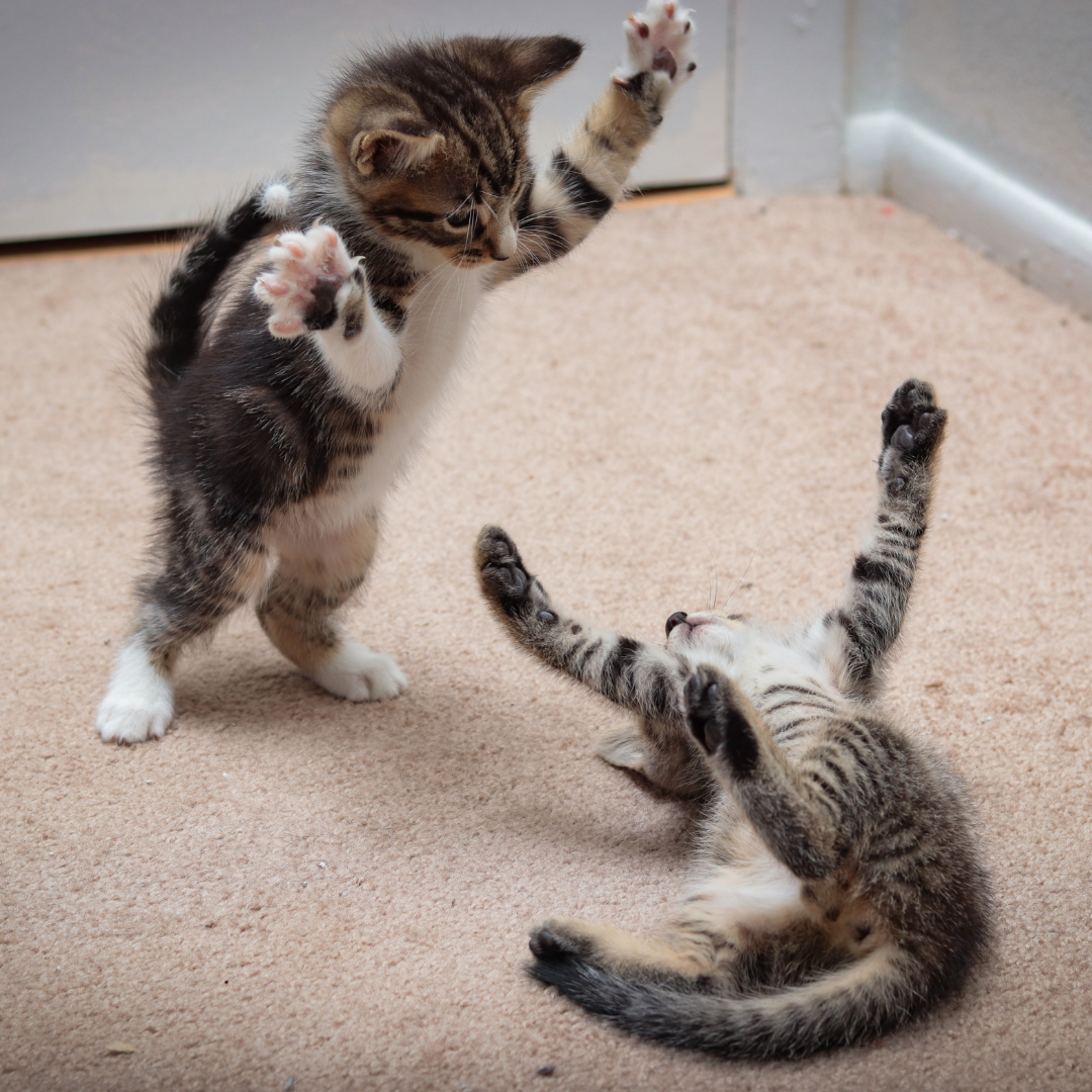 Воооот такой шарик! 