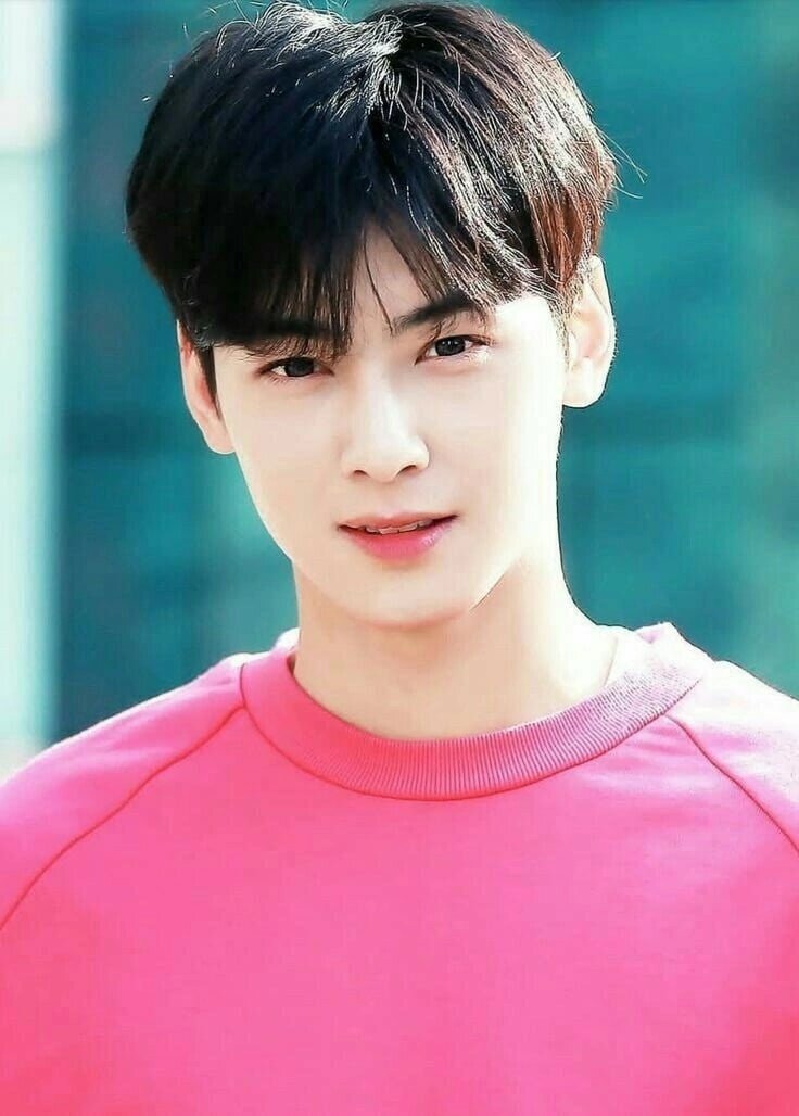 Ча Ыну считается одним из самых красивых айдолов современности. Фото взято из интернета.