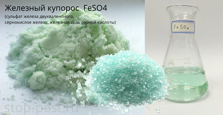 Железный купорос и вода. Железный купорос (сульфат железа) (200гр). Железный купорос feso4 7h2o. Сульфат железа 2 цвет раствора. Сульфат железа 2 раствор.