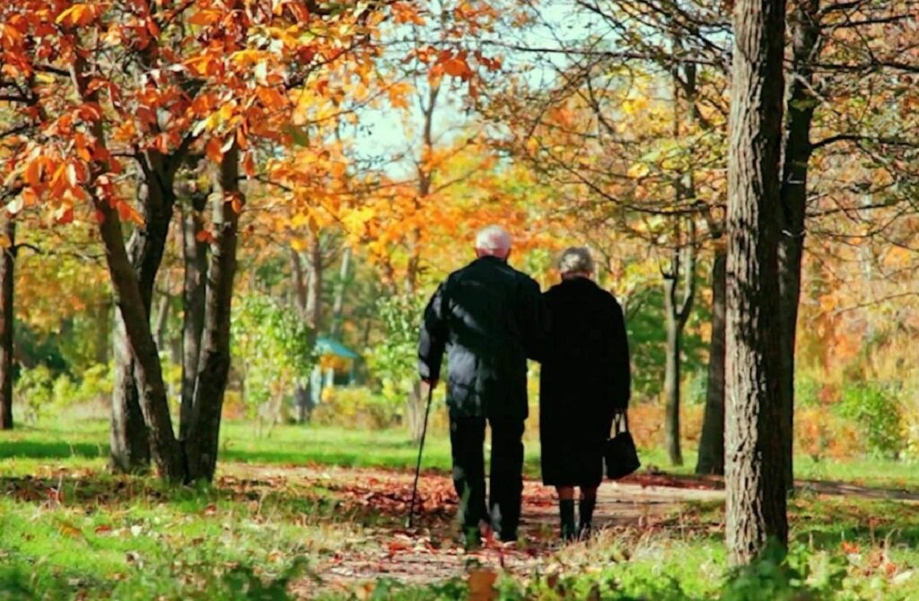 Фото из свободного Интернета