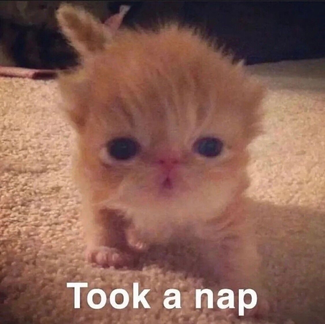 to take a nap - вздремнуть, дремать (обычно про короткий дневной сон)