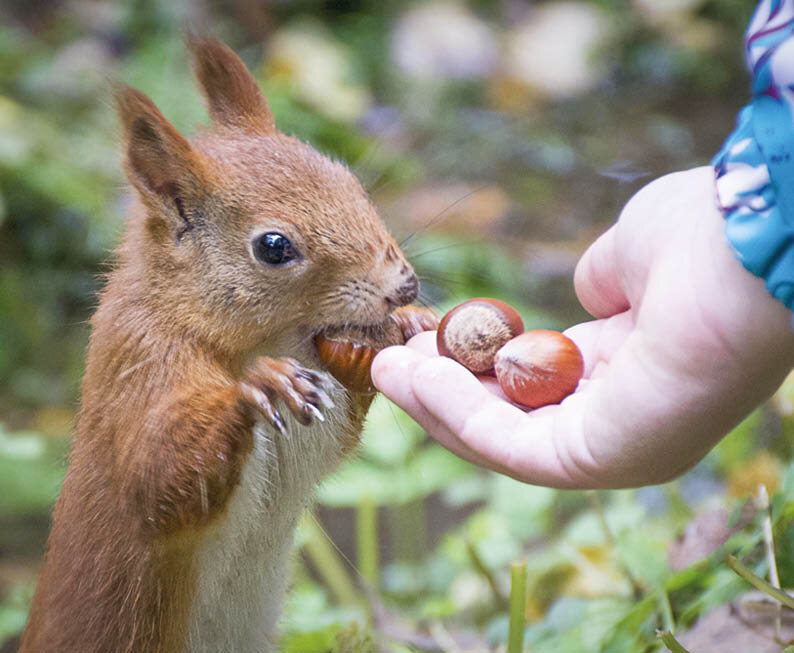 Фото: supersnimki.ru