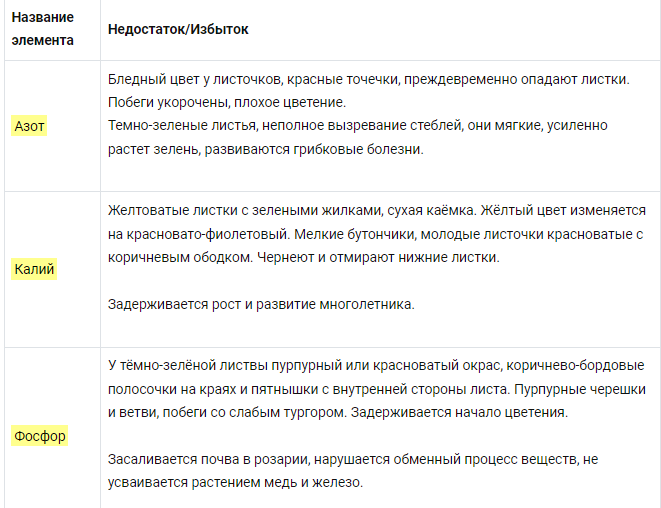 Оптимальное время подкормки