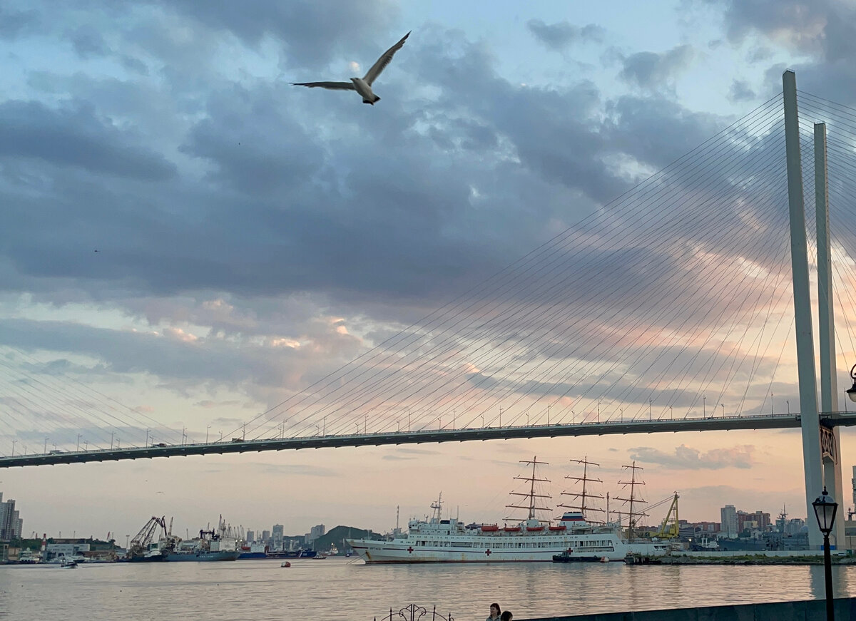 Порт, море, корабли и чайка