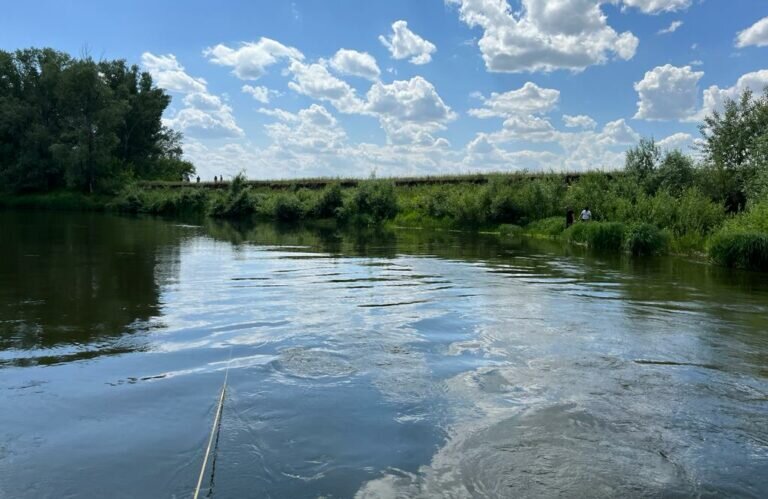    Водолазы ищут пропавшую у реки Чаган в Первомайском районе 27-летнюю женщину Белов Михаил Александрович