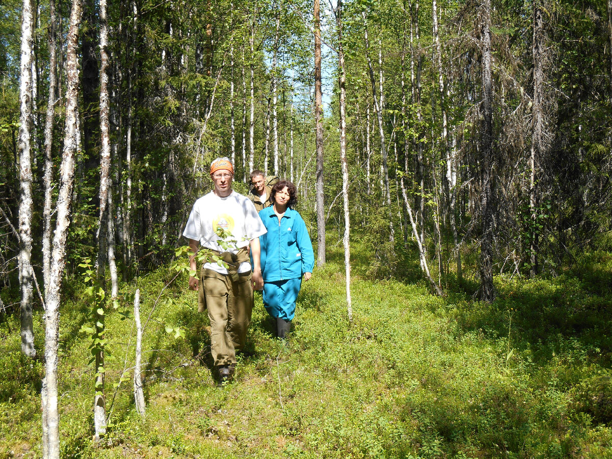 В летней тайге.